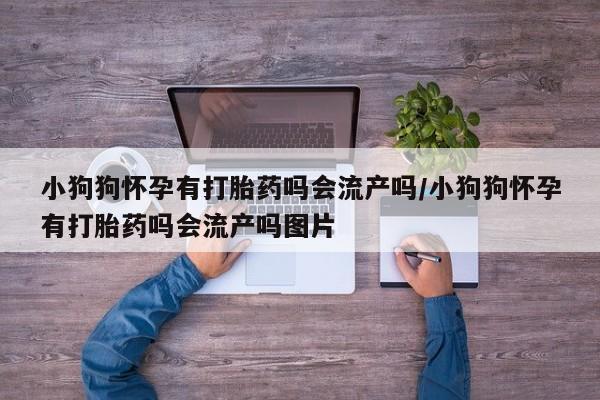 私人打胎药微信，小狗狗怀孕有打胎药吗会流产吗/小狗狗怀孕有打胎药吗会流产吗图片
