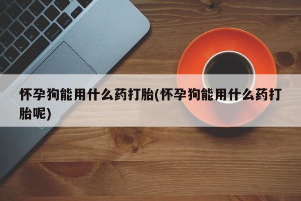 私人打胎药微信，怀孕狗能用什么药打胎(怀孕狗能用什么药打胎呢)